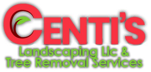 Centi’s Landscaping Llc & Tree Removal Services